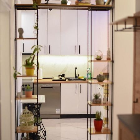 Garden Apartment - Oaza U Centru Grada 노비사드 외부 사진