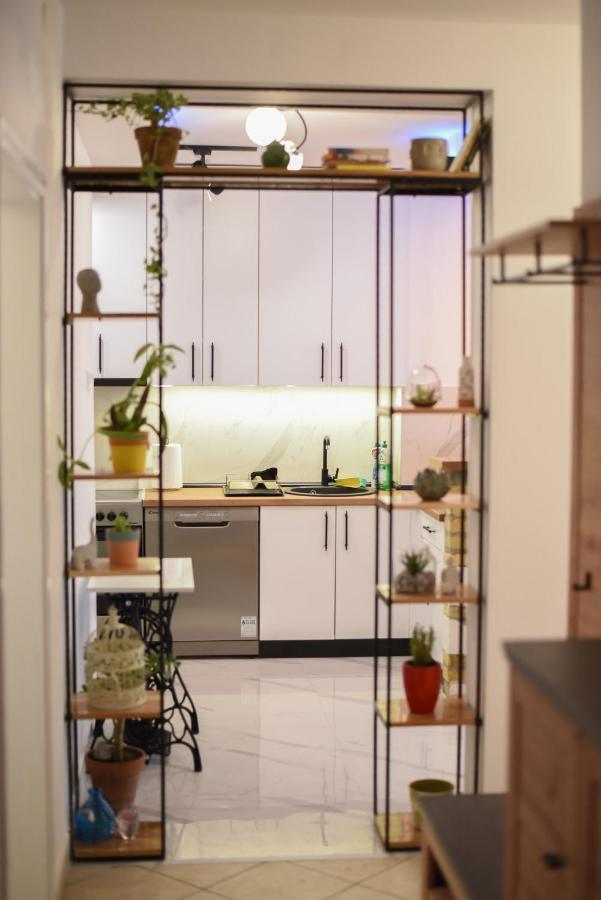 Garden Apartment - Oaza U Centru Grada 노비사드 외부 사진