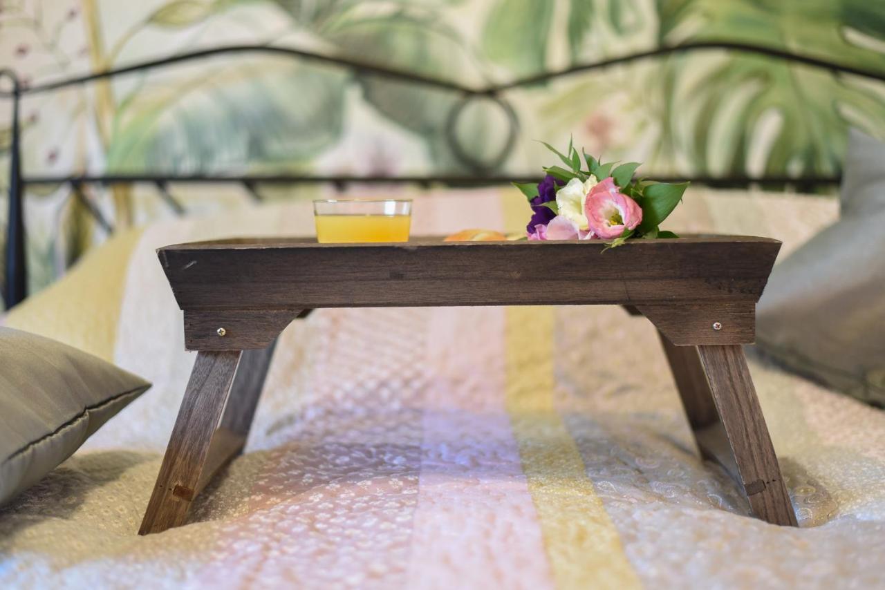 Garden Apartment - Oaza U Centru Grada 노비사드 외부 사진