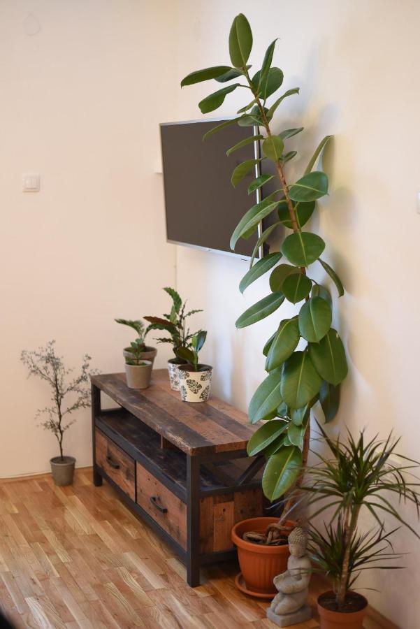 Garden Apartment - Oaza U Centru Grada 노비사드 외부 사진