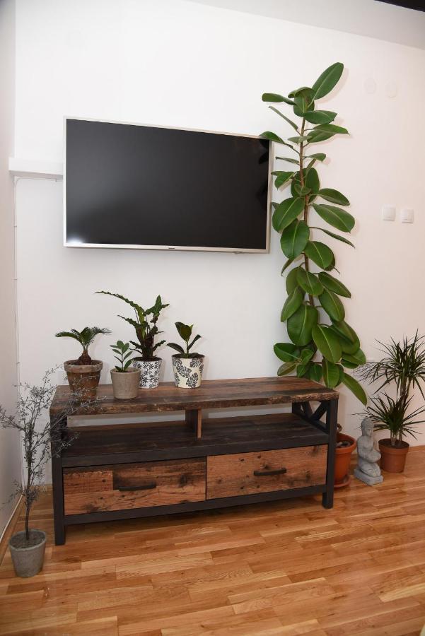 Garden Apartment - Oaza U Centru Grada 노비사드 외부 사진