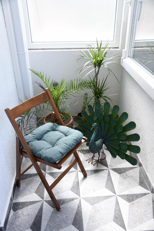 Garden Apartment - Oaza U Centru Grada 노비사드 외부 사진